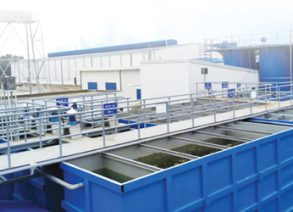 Hình ảnh dự án